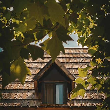 Guesthouse Pashko Theth Luaran gambar