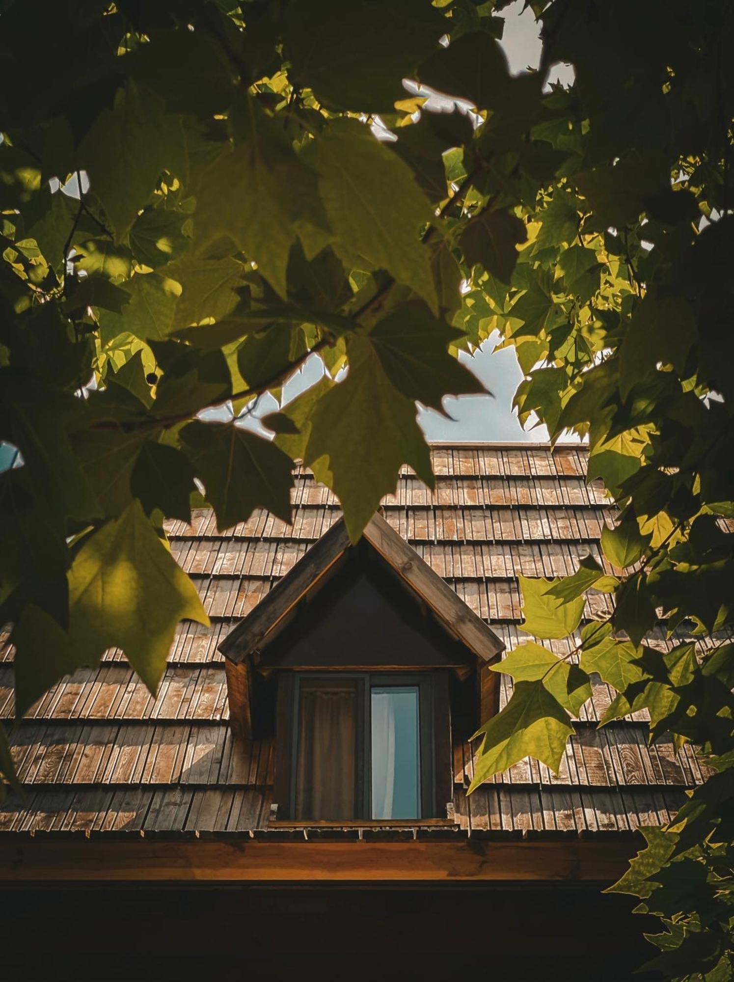 Guesthouse Pashko Theth Luaran gambar